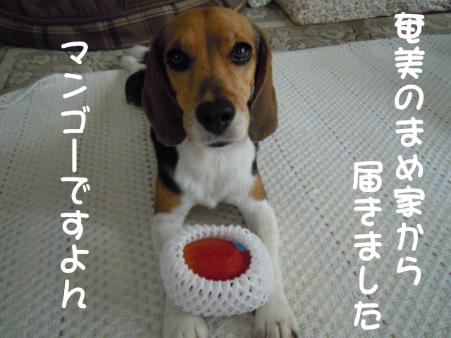 c0166622_14511444.jpg