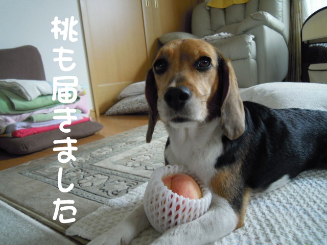 c0166622_14574289.jpg