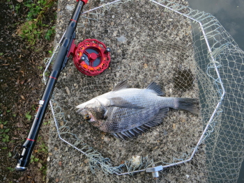 f0031423_8521119.jpg