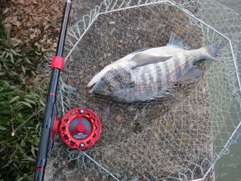 f0031423_8563376.jpg