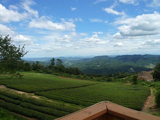 c0148425_12134579.jpg