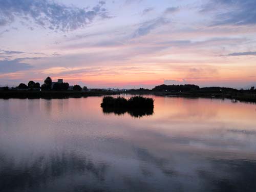 f0147025_2301374.jpg