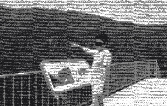 e0198128_8522316.jpg