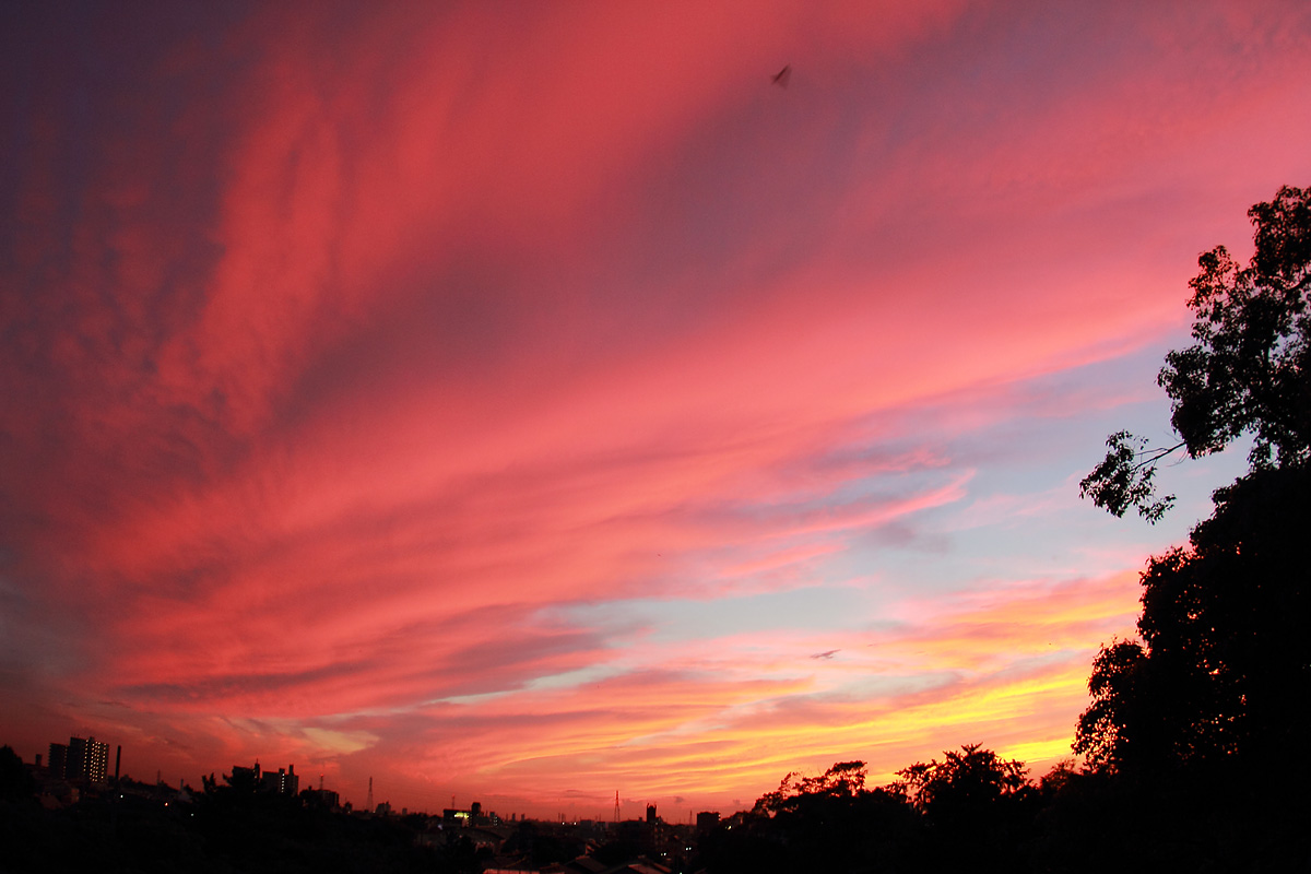 b0222029_2123744.jpg
