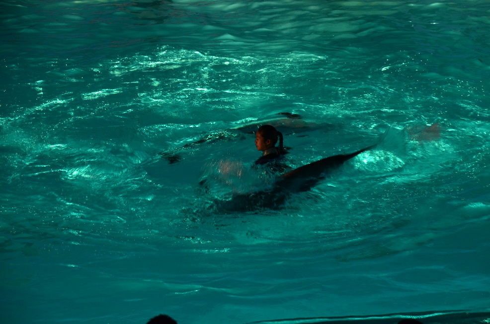 f0124830_1952176.jpg