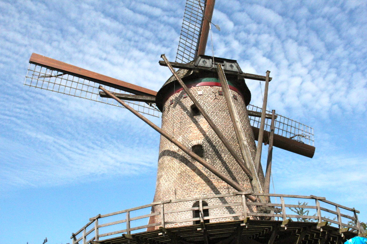 c0153740_014295.jpg