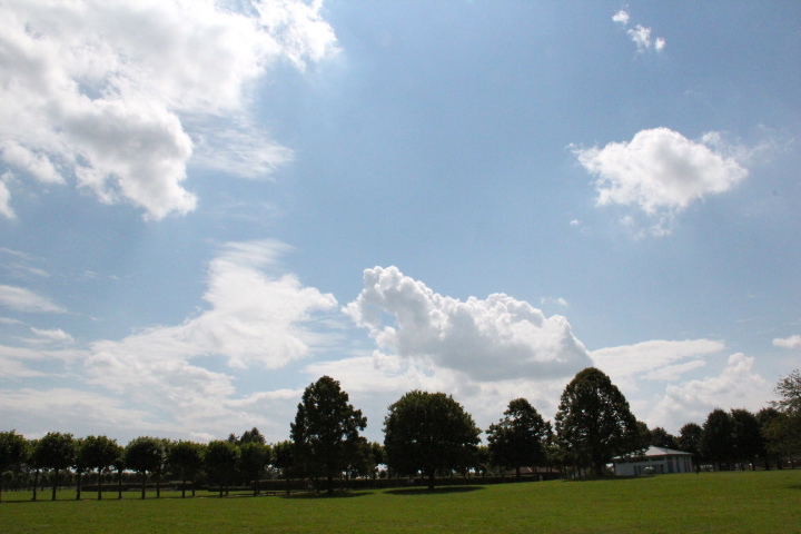 c0153740_0334792.jpg