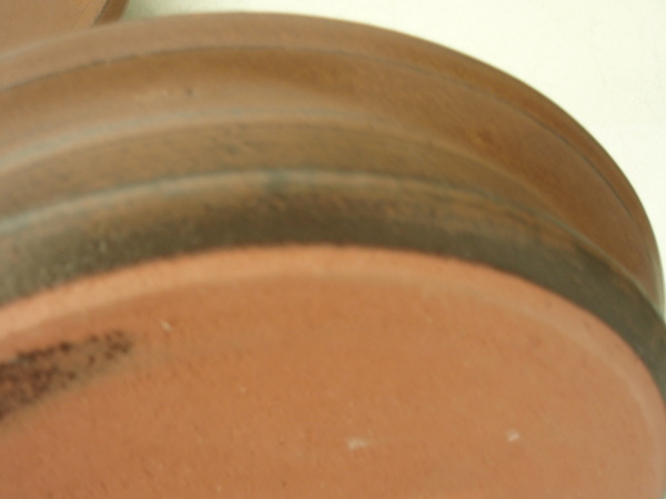 b0132442_1736353.jpg