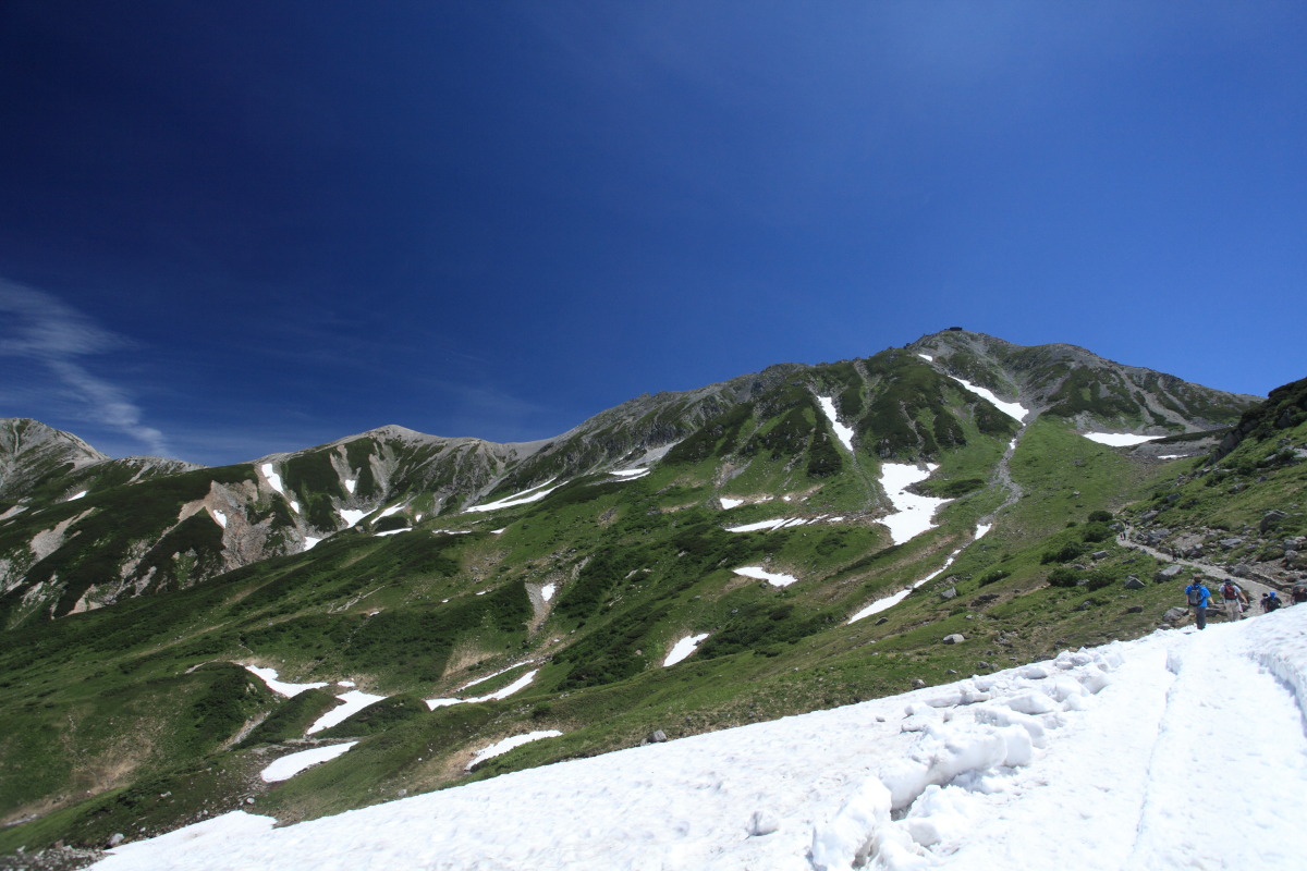 d0135242_12201796.jpg