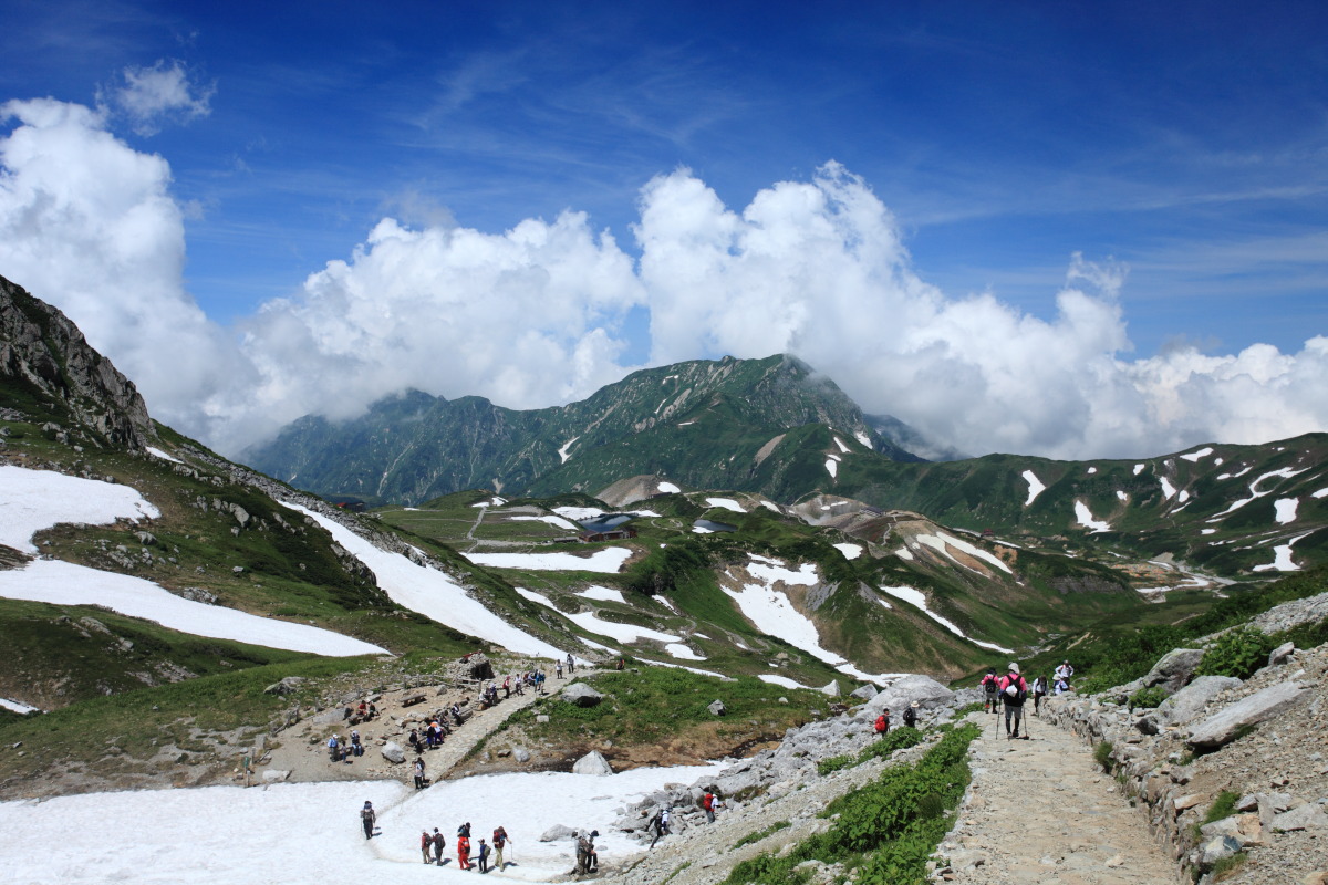 d0135242_12214814.jpg
