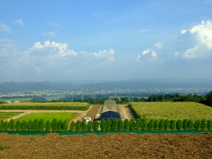 e0006242_8244780.jpg