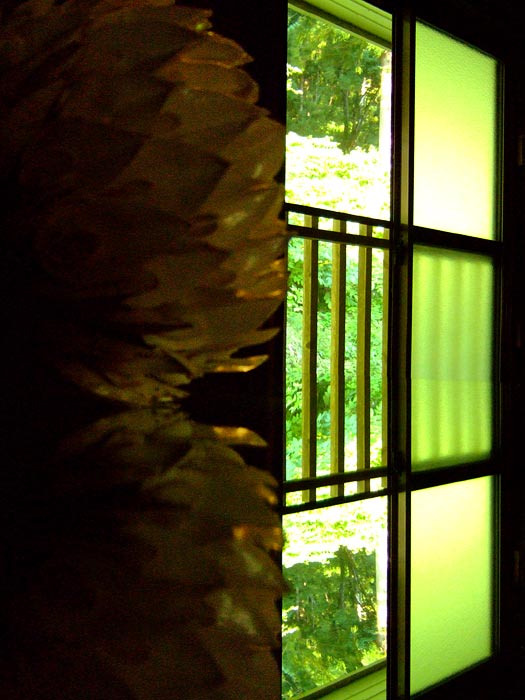e0006242_8311727.jpg