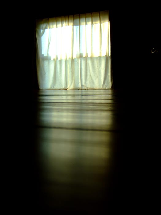 e0006242_8312322.jpg