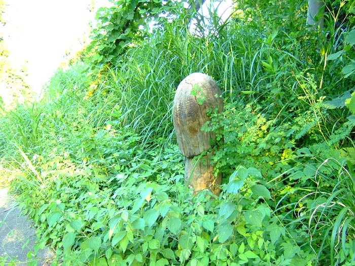 e0006242_8314386.jpg