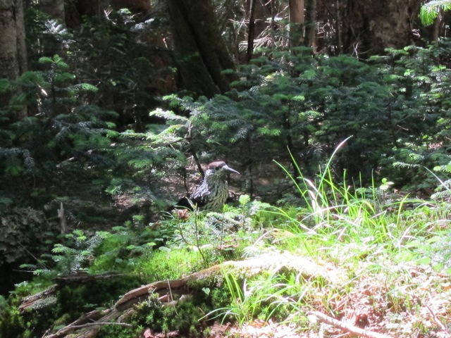 b0167343_23394149.jpg