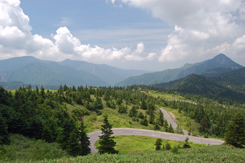 d0164443_21355221.jpg