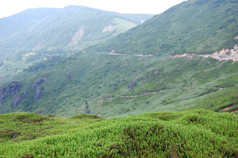 d0164443_21424316.jpg