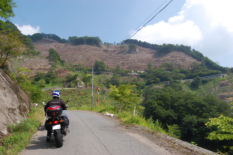 d0164443_21503936.jpg