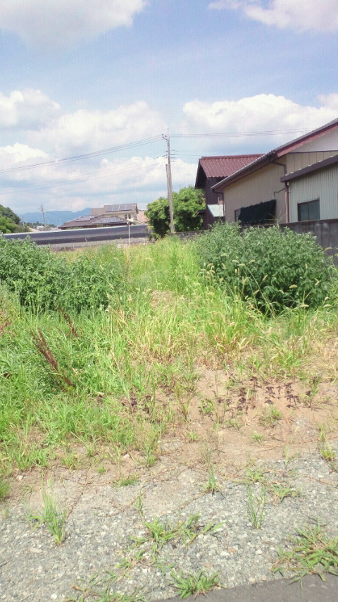 e0150849_20145430.jpg
