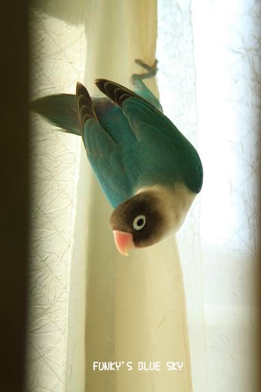 c0145250_9363367.jpg