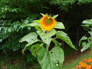 e0004756_204933100.jpg