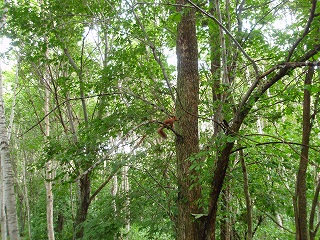 e0004756_2058363.jpg