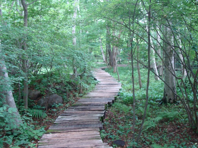 f0198556_21181610.jpg