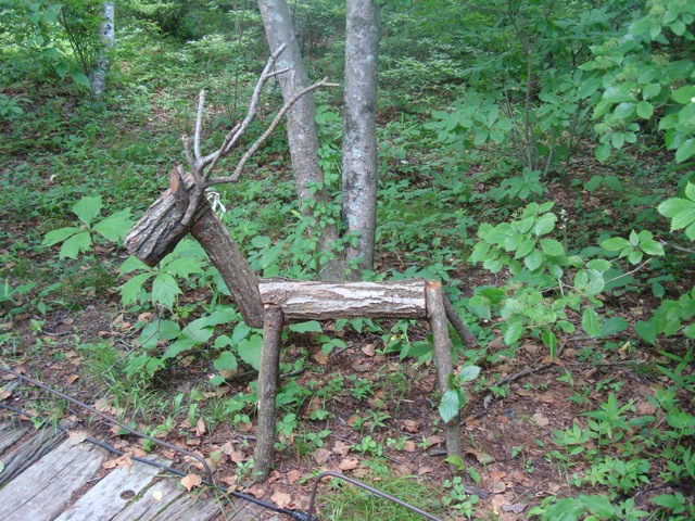 f0198556_2120117.jpg