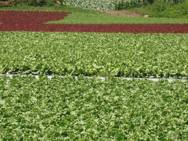 f0198556_21452751.jpg