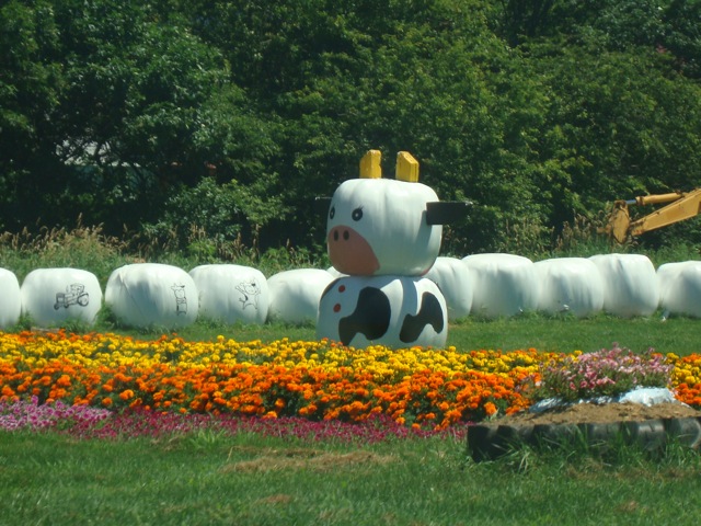 f0198556_2204069.jpg