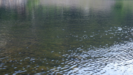 c0211357_1730421.jpg