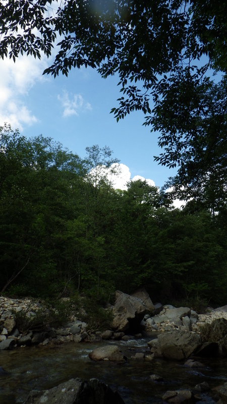 c0211357_17541634.jpg