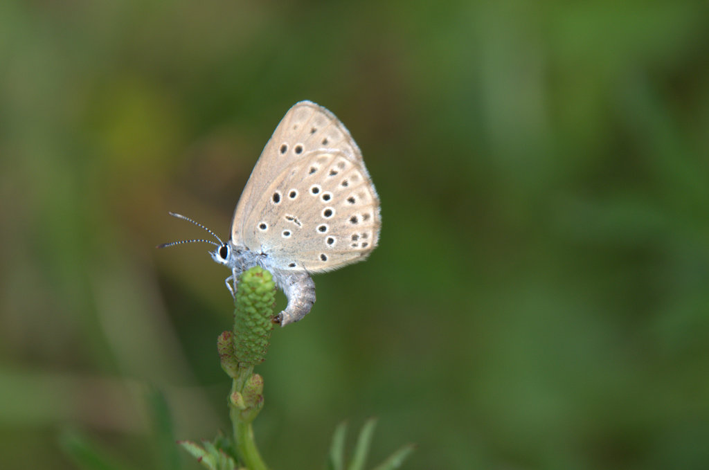 d0098057_15563767.jpg