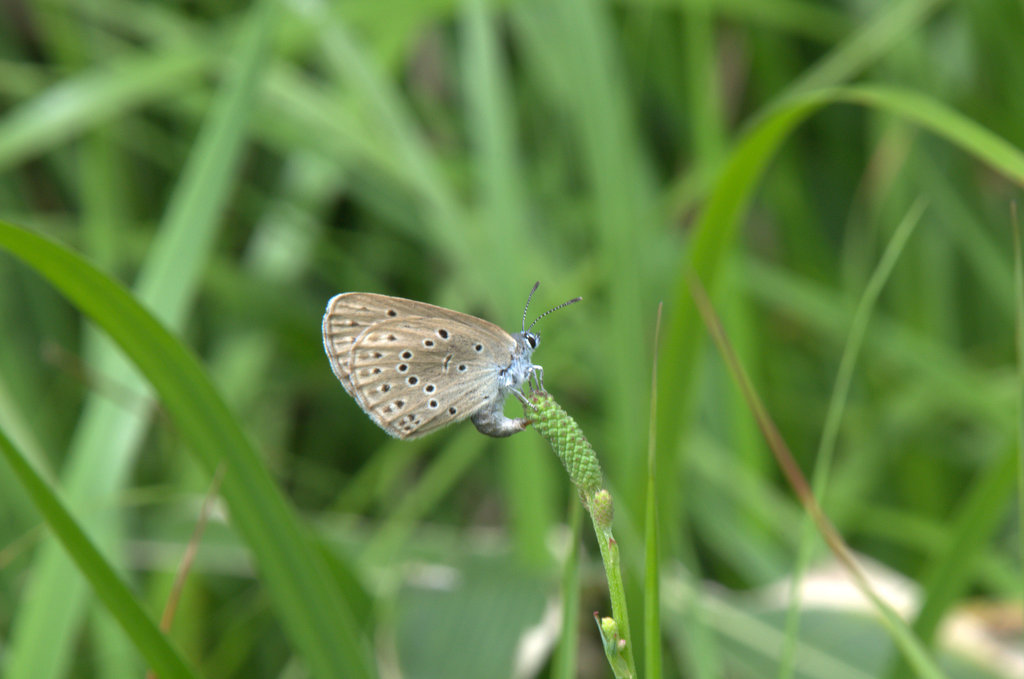 d0098057_15574429.jpg