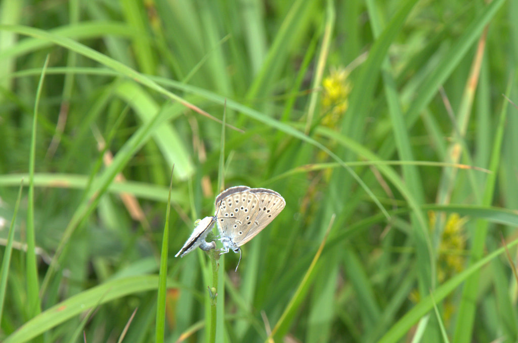 d0098057_15592196.jpg