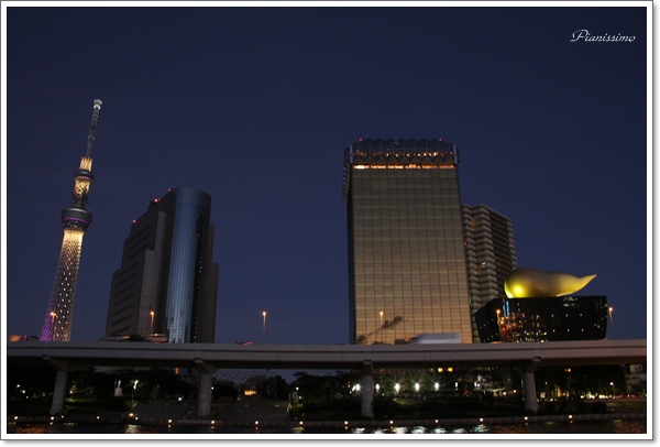 b0138661_9564640.jpg