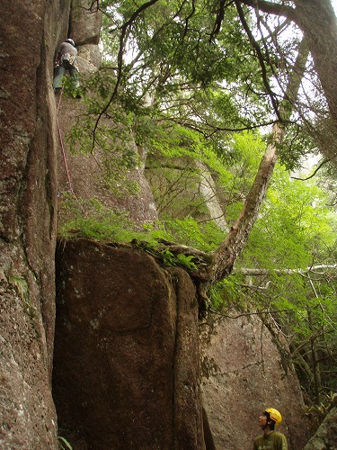 b0050067_22125176.jpg