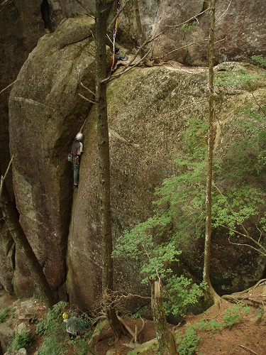 b0050067_22234531.jpg