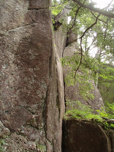 b0050067_2281373.jpg