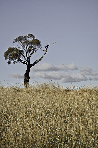 f0180668_21412076.jpg