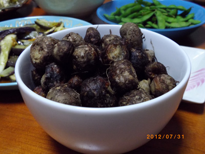 e0097770_1173248.jpg