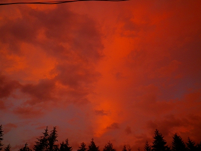 f0182173_19131164.jpg