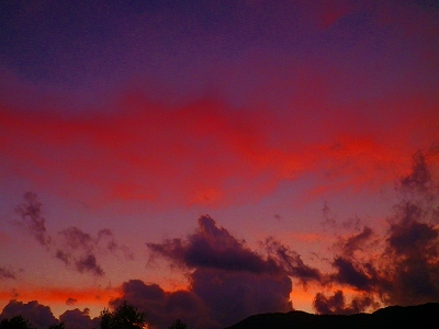 f0182173_1913249.jpg