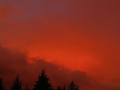 f0182173_1913498.jpg