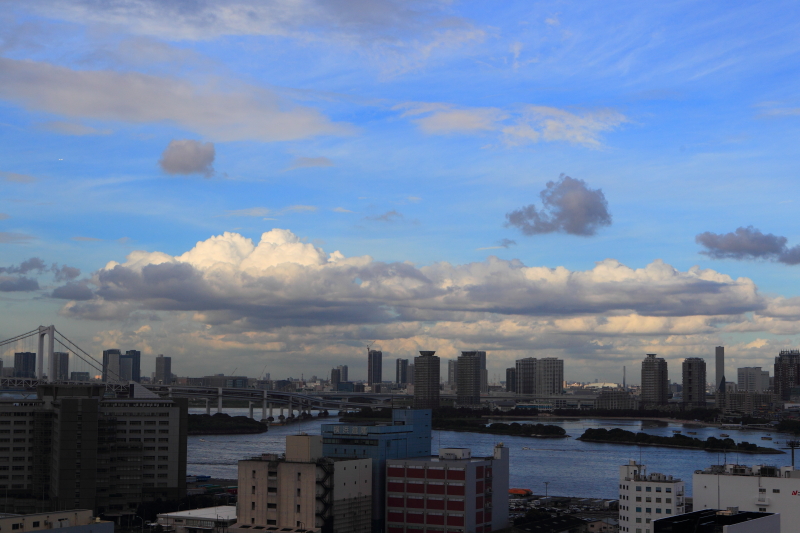 c0008378_227985.jpg