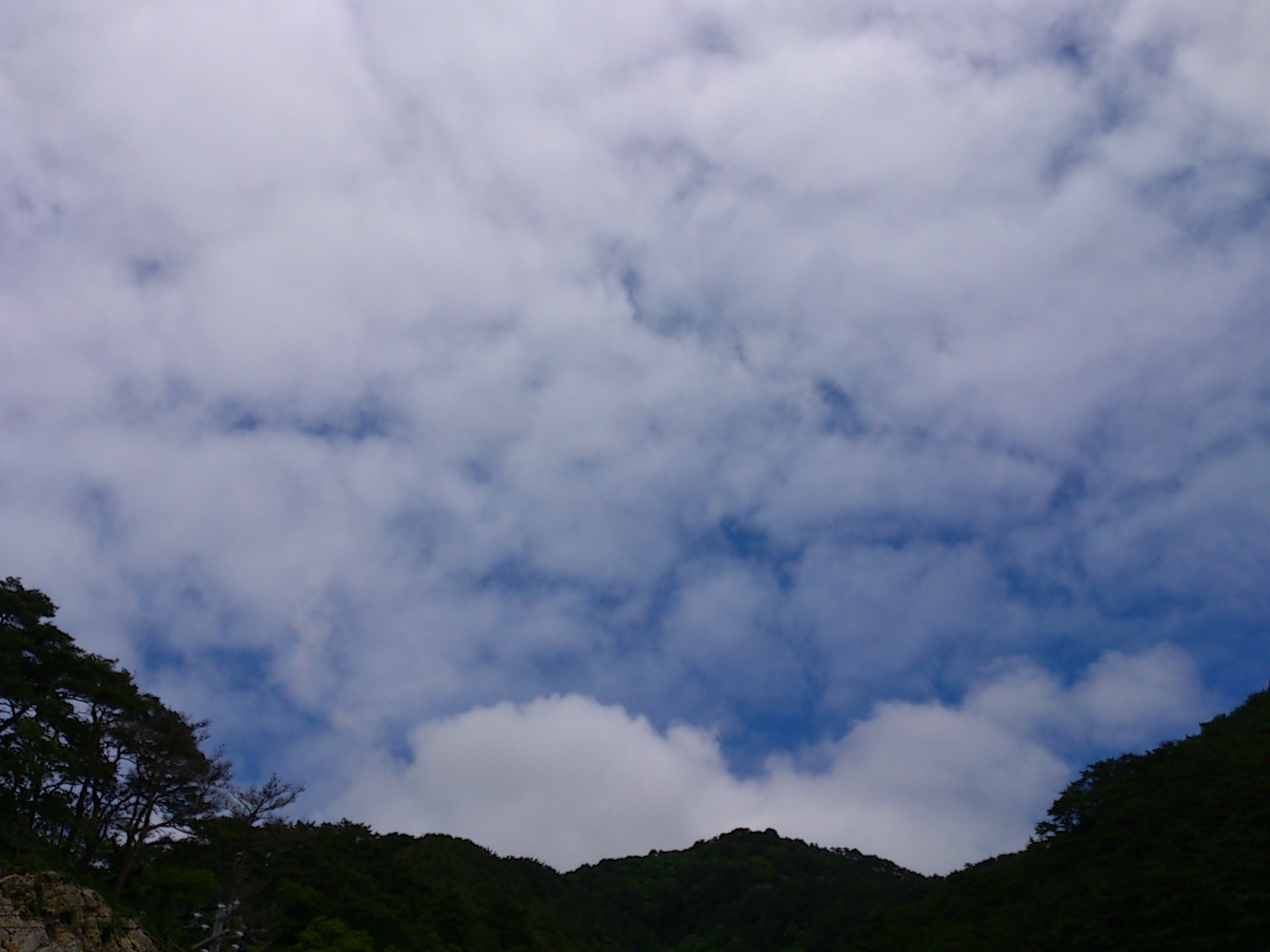 a0077185_1153368.jpg