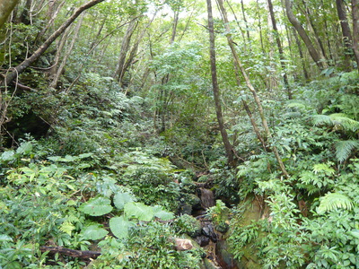 a0257385_21551376.jpg