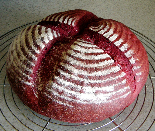 e0202287_1425505.jpg
