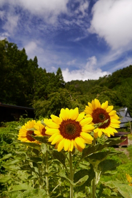 b0226089_15483173.jpg