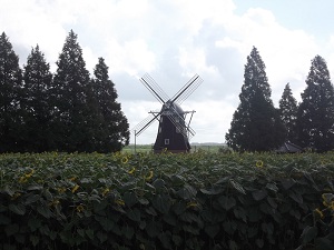 f0235289_7564757.jpg